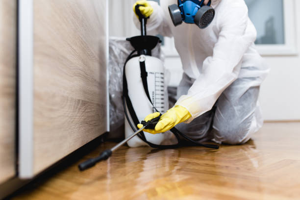 Best Wasp Removal Services  in Crab Orchard, WV
