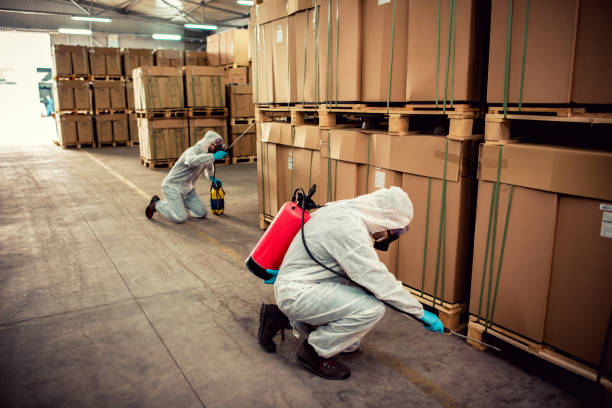 Best Exterminator Services  in Crab Orchard, WV