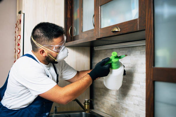Best Cockroach Control Services  in Crab Orchard, WV