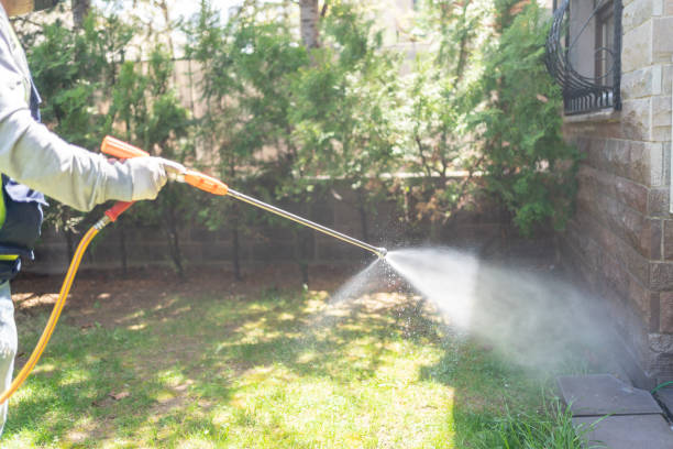 Best Pest Removal Services  in Crab Orchard, WV
