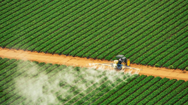 Best Best Pest Control Companies  in Crab Orchard, WV