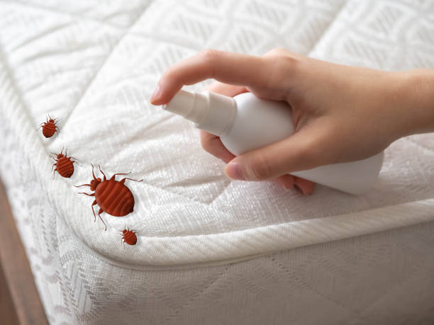 Best Affordable Pest Control Services  in Crab Orchard, WV